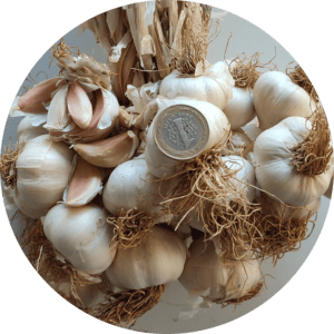Medium (1kg)